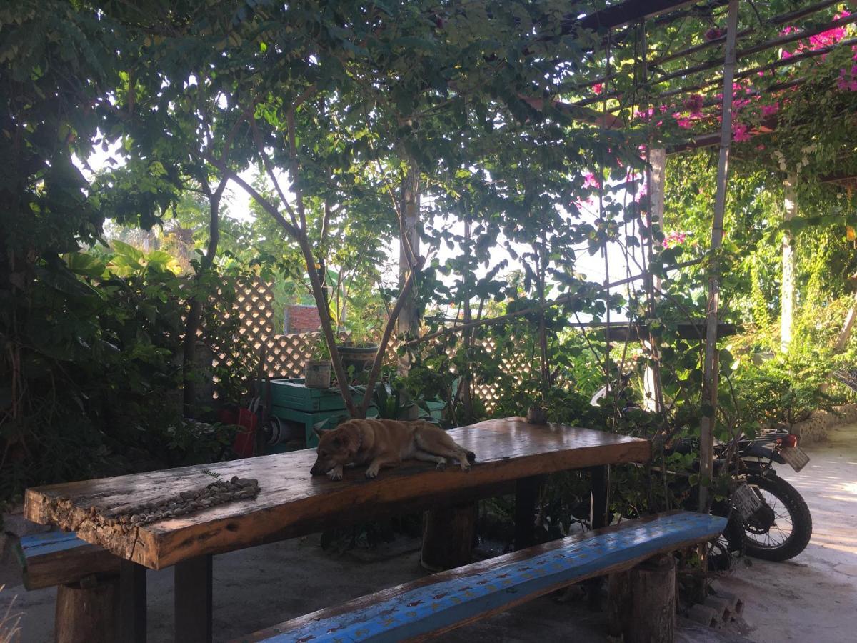 Hotel Confetti House Quy Nhon Esterno foto